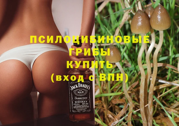 дурь Гусиноозёрск