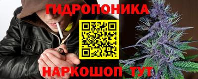 не бодяженный Гатчина